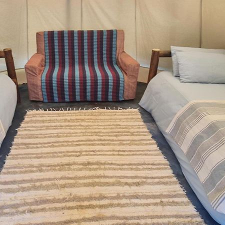 Tsitsikamma Wolf Sanctuary Eco Cabins & Teepees Stormsrivier Bagian luar foto