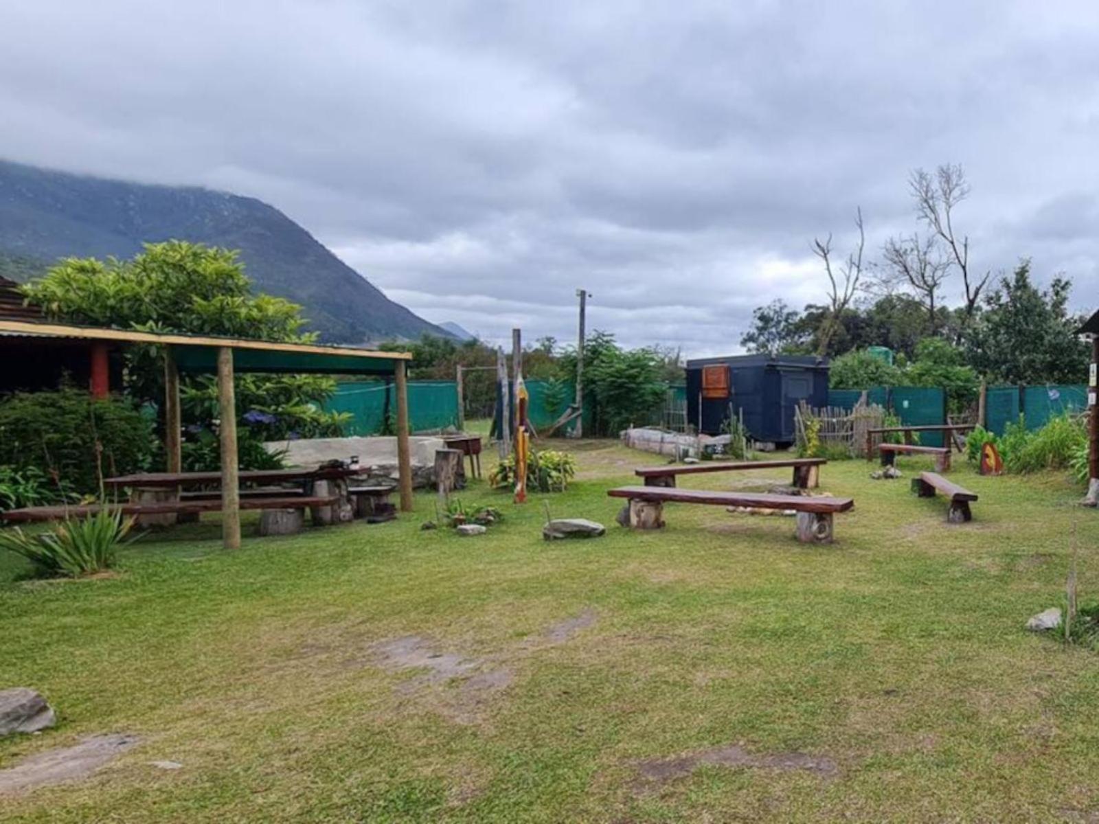 Tsitsikamma Wolf Sanctuary Eco Cabins & Teepees Stormsrivier Bagian luar foto