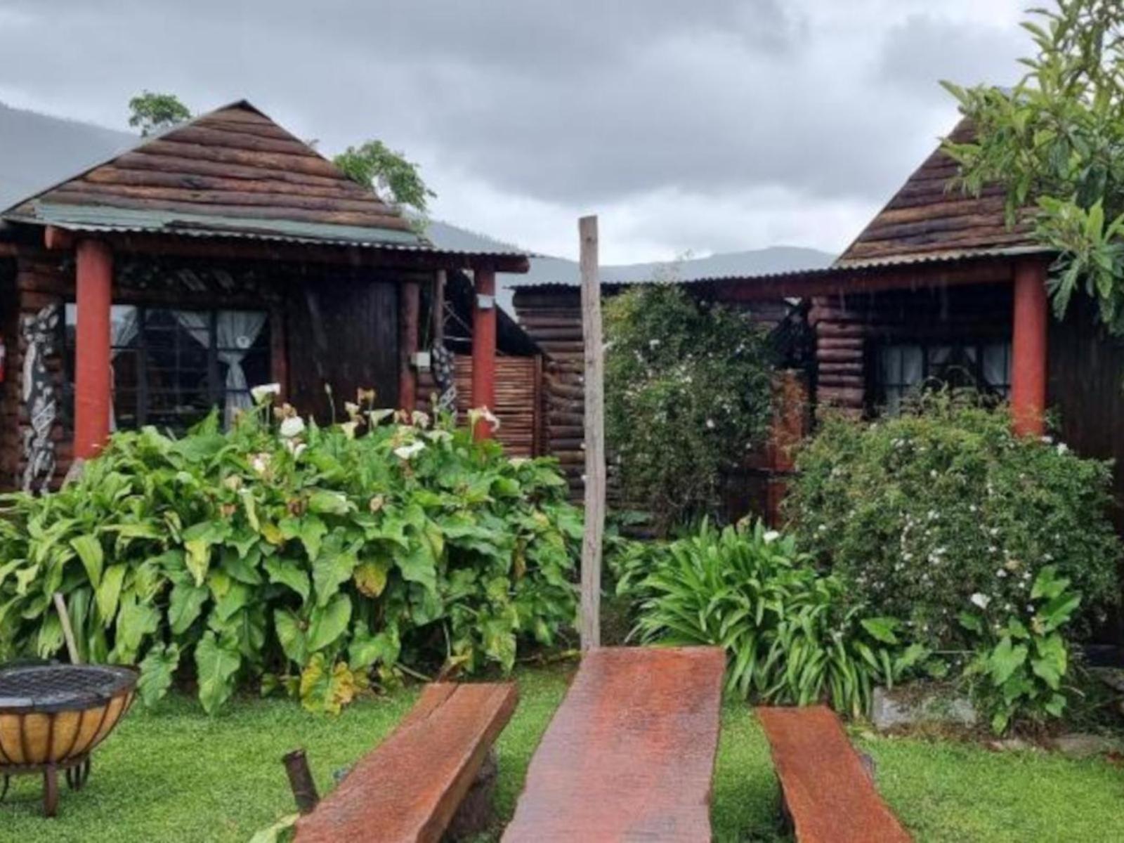 Tsitsikamma Wolf Sanctuary Eco Cabins & Teepees Stormsrivier Bagian luar foto